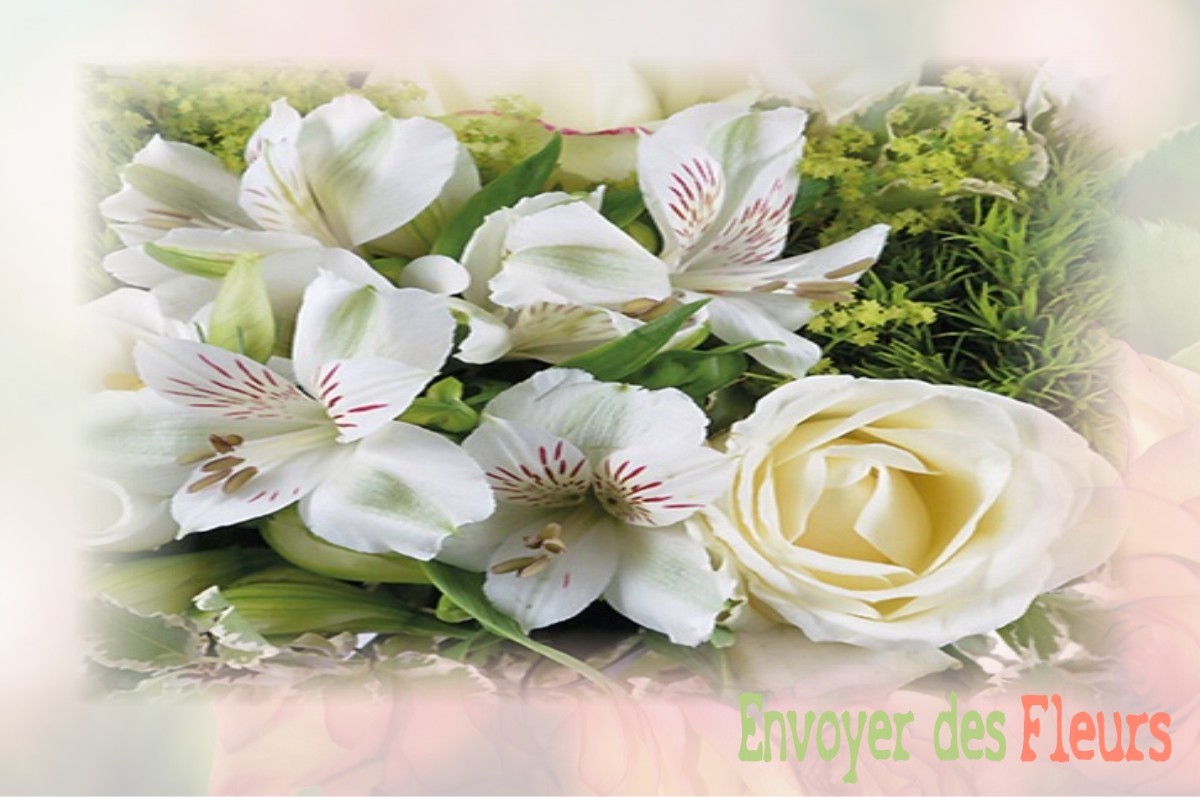 envoyer des fleurs à à ASNIERES-SUR-VEGRE